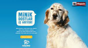 minik dostlar is ariyor ik magazin kopek hayvan ikiz