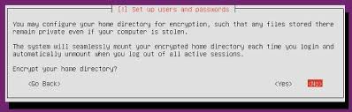 Risultati immagini per encrypted ubuntu installation