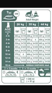 Gsd Food Amount Chart German Shepherd Food Dog Breeds