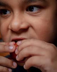 Tamar Martinez (@tamar_martinezphoto) • Instagram photos and videos