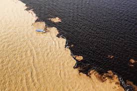 Rio em que os fatos são tão assombrosos quanto as lendas, o amazonas fertiliza uma região de quase seis milhões de quilômetros quadrados além do peru, marcado quase de ponta a ponta pelas duas tortuosas vertentes da primeira parte do rio, o norte do brasil (estados de amazonas e pará). Rio Negro Bootstour Von Manaus Zum Amazonas 2021 Tiefpreisgarantie