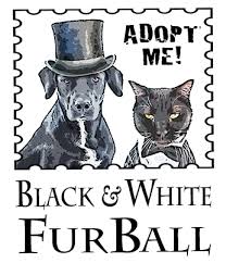 See more of okc pups on facebook. Okc Animal Center Holds Adoption Event For Black White Dogs And Cats Alan And Heather Davis