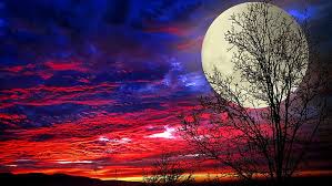 Moon wallpapers, backgrounds, images— best moon desktop wallpaper sort wallpapers by: Hd Wallpaper Super Moon Full Moon Sky Night Night Sky Fantasy Wallpaper Flare