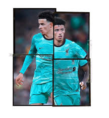 波兰球 （全称 波兰共和国球 ，英文名为 polandball ）是 波兰球漫画 的最初主角，也是其漫画类型名称来源的国家球。根据这一文化基因， 波兰球不能上太空 ，尽管曾有波兰宇航员 米罗斯瓦夫·赫尔曼谢夫斯基 。 å°'é‡ç¾è²¨ 20 21 åˆ©ç‰©æµ¦ä½œå®¢çƒè¡£ Ace Concept Store Facebook