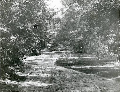 Dirt Road through a Wooded Area in Morgantown, W.Va. - West Virginia History OnView | WVU Libraries