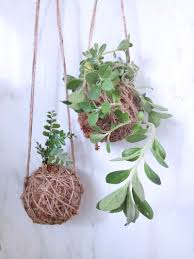 Make Your Own Moss Ball Hanging Plant Holders Great For Succulents And Cacti Diy Make It Potted Plants And S Hanging Succulents Hanging Plants Plant Pot Diy