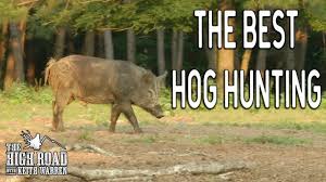 Whether you're planning a short weekend or an extended trip, we offer a truly unmatched experience including over. Best Wild Boar Hunting In Texas Youtube