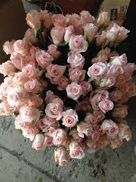 Tip, start your wedding g package with the bliss collection they feature at 50 i called my mom and told her that the flowers were nicer than the other florists and that sam was so nice that i. Sam S Club Wedding Bouquets Off 73 Buy