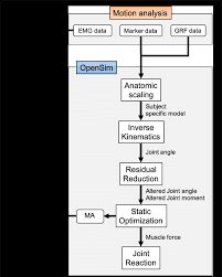 Flow Chart For Data Processing From Motion Capture To