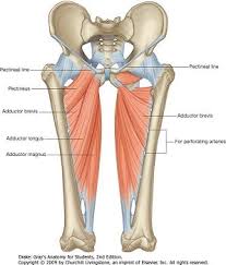 A physical therapist can give you a proper examination and allotted rest time. Injury Of The Week Groin Strains Symmetry Physiotherapy