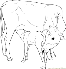 Search through 623,989 free printable colorings at getcolorings. Cow And Calf Coloring Pages Printable Coloring Name B107 Reactor
