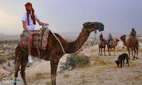 Dromedary camels, which have one two rows of long lashes also protect their eyes. Camel Tour In Cappadocia A Trip That You Will Never Forget Move 2 Turkey