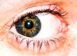 This trait usually involves both eyes, with two separate colors appearing in each eye instead of one. Central Heterochromia Iridum Central Heterochromia Heterochromia Heterochromia Iridum