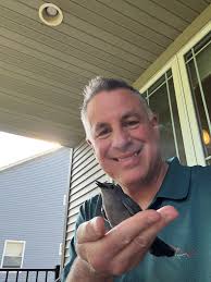 Would you look at who returned home? That's right. Our Gray Catbird! It was  so lovely to hear him/her singing and hopping around from branch to branch.  I was happy that it