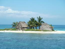 Image result for Ceiba