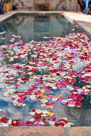 Maybe you would like to learn more about one of these? 21 Wedding Pool Party Decoration Ideas For Your Backyard Wedding Pool Wedding Decorations Wedding Pool Party Decorations Wedding Pool Party