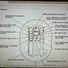 A wiring diagram can also be found this way, but it can be confusing unless you're familiar with how to read an automotive wiring diagram. Https Encrypted Tbn0 Gstatic Com Images Q Tbn And9gcr1kc0m03d9jnmsgt5g1hwalthbehsvoeikgxd8ax6p Zdzgi X Usqp Cau