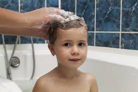 Lause Shampoo Korrekt Anweden