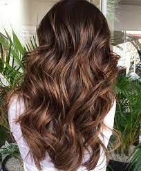 Chocolate Brown Hair Color Ideas For Fall 2018 2019 With Images Chocolate Brown Hair Color Light Hair Dark Brown Hair Color