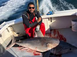 How To Kill/Bleed A Small Shark - The Hull Truth - Boating And Fishing Forum