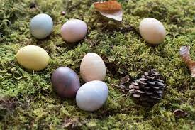 You have weeks ahead of eating deviled eggs, egg salad. Try Coloring Your Easter Eggs With These Plant Based Dyes Garden Collage Magazine
