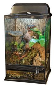 Naturalistic Terrarium Online Kaufen Md Terraristik Terrarium Ideen Terrarium Kaufen Terrarien