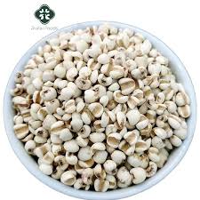 Image result for Coix