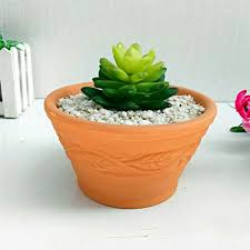 One of the most common mistakes in caring for cacti is wrong cactus repotting (transplanting). China Arge Terracotta Pot Clay Pots 5 Clay Ceramic Pottery Planter Cactus Flower Pots Succulent Pot Drainage Hole Great For Plants Manufacturer And Factory Joinste