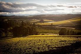 Check spelling or type a new query. 7 Beautiful Vineyard Views In The Willamette Valley Travel Oregon