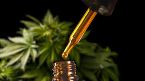 Why CBD oil is so expensive - Business Insider