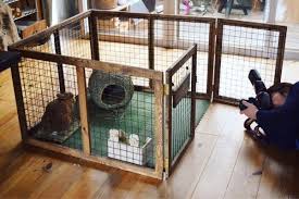 100均のアイテムをフル活用で モカの遊び場をつくったよ 小型犬やうさぎのサークルプレイルーム studio in the afternoon リノベーションとお家収納diy wagon worksブログ powered by ライブドアブログ ウサギ用ハウス 小型犬 うさぎ