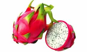 We did not find results for: Exotische Fruchte 20 Der Ausgefallensten Fruchte Und Gemusearten Exotische Fruchte Exotisches Obst Tropische Fruchte