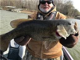 Maybe you would like to learn more about one of these? Best Places To Fish In Kentucky Lake Kentucky Tennessee Bass Pro Shops