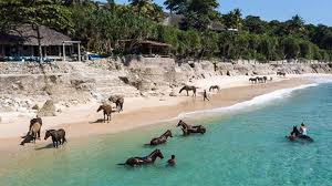 Nihi Sumba, Destinasi Wisata Kelas Dunia yang Tersembunyi di NTT - Travel  Tempo.co