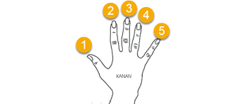 Cara menghargai jasa para pahlawan | bimbela channel. July 2017 Mikirbae Com