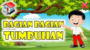 Maybe you would like to learn more about one of these? Membuat Multimedia Pembelajaran Interaktif Berbasis Powerpoint By Dona Agus Setiawan