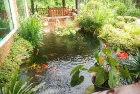 Admin may 23, 2020 comments off. Feng Shui Home With Pets Step 1