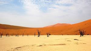 Beautiful desert, beautiful desert image, vast desert png. 17 Desert Sand Wallpapers Wallpaperboat