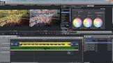 Should I use MAGIX Video Pro