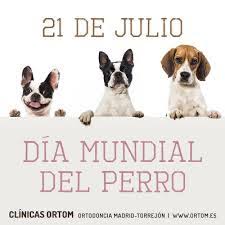 Concretamente muchos países coinciden en celebrar el día del perro el 26 de agosto, una iniciativa que surgió en estados unidos en 2004 y que. Es Dia De Homenajear Al Fiel Amigo Del Hombre El Perro