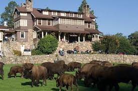 State Game Lodge Buffalo South Dakota Vacation South Dakota Travel Custer State Park