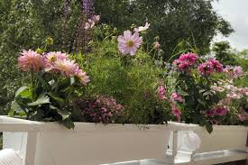 Blumenkasten Romantisch Gestalten Balkon Pflanzen Bepflanzung Pflanzen