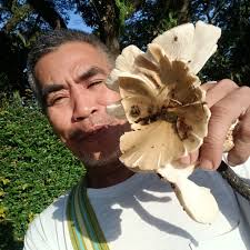 Bukidnon Backyard HOG Raiser