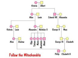 The simple way to understand this is to take the connection of the house of hanover, king george iii and queen victoria's family line, with 7. From Dna To Genetic Genealogy