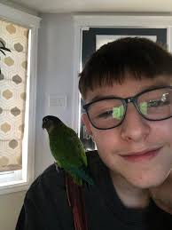 Is anyone missing a bird in the Watson area?