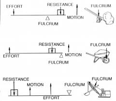 Body Levers Body Physics Motion To Metabolism