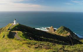 There are small settlements along state highway 1 between. Cape Reinga Lighthouse A1 Nz Frenzy North Island New Zealand