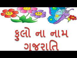 We did not find results for: New Gujarati Flowers Name Photo Video English With Gujarati Youtube