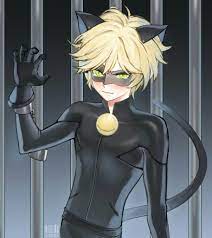 Chat Noir Miraculous Ladybug Anime Miraculous Ladybug Miraculous Ladybug Oc