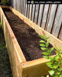 Birdies Raised Garden Beds Pin On Gardening